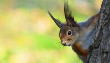 630_360_1584648049-261_21.03.26