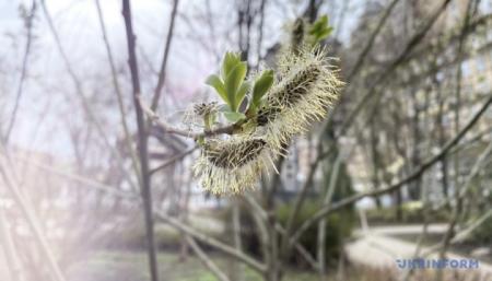 630_360_1675775808-854_22.03.26