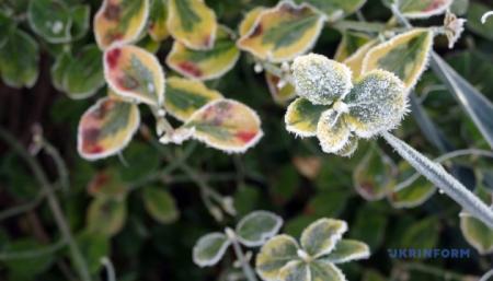 630_360_1731349228-798_26.04.26