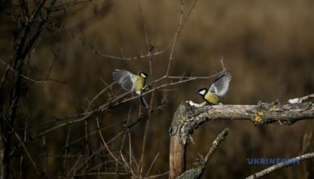 630_360_1736186692-401_20.03.26