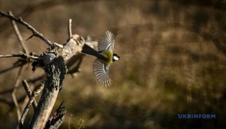 630_360_1736186693-388_16.03.26