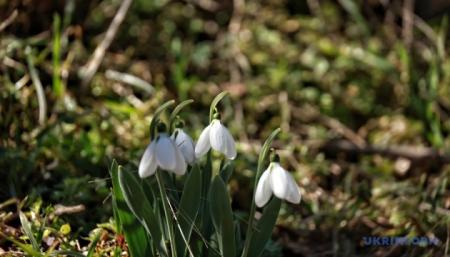 630_360_1773156128-908_23.03.26