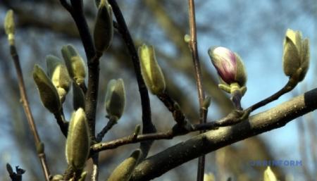 630_360_1773816125-910_25.03.26