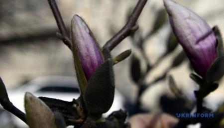 630_360_1773816126-232_03.04.26