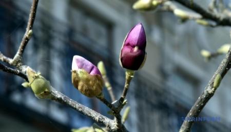 630_360_1773816127-633_27.03.26