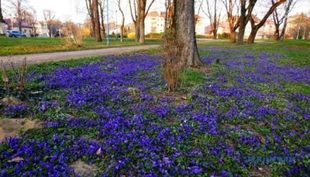 630_360_1774274522-542_24.03.26