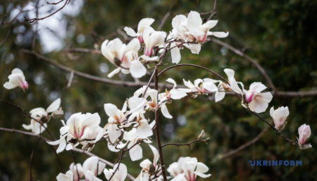 630_360_1774879421-252_14.04.26