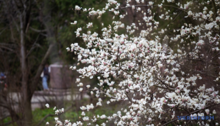 630_360_1774879425-344_04.04.26