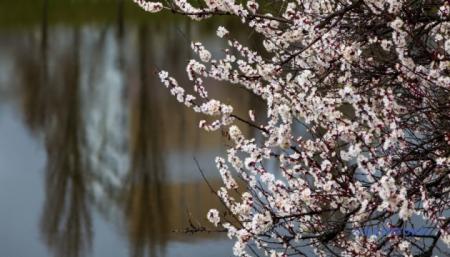 630_360_1775645617-431_18.04.26