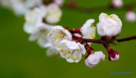 630_360_1775645618-212_11.04.26