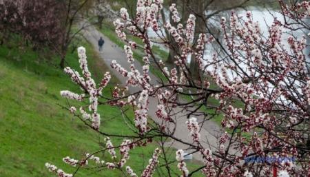 630_360_1775645618-220_22.04.26