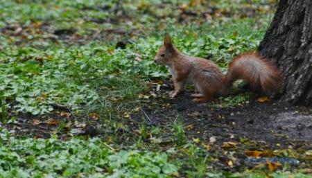 Синоптикиня розповіла, коли в Україну може прийти потепління