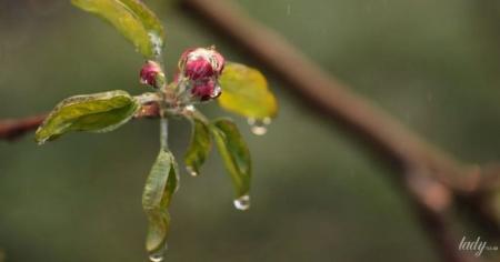 64c67862f7db9583c645e2024e7baa57_27.04.26_1