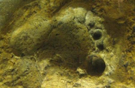 Ловили рыбу, охотились и собирали моллюсков: в Испании раскопали следы неандертальцев, которым 100 тысяч лет