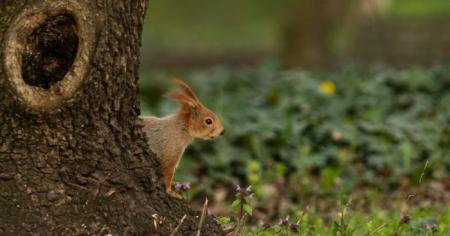 660349c986756236316fa344cc2019db_03.04.26_1