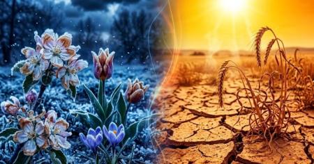 673a4760e79ce95edcbdb7fdc22f9b43_06.04.26_1