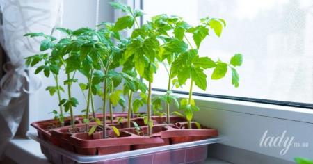 677990c10cb8b57f4e0679e052a89fc7_29.04.26_1