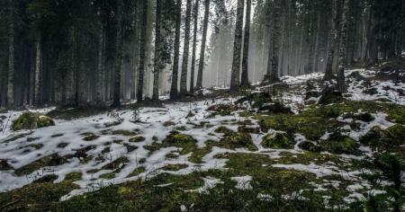 681a2f1e675d06af23410e64ed49e2b8_20.02.26