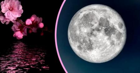 698f345e87c0df26ad228d5a253ede14_02.04.26_1