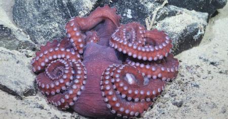 6a41e21a4e0207ef70b26a95038fe5da_08.04.26