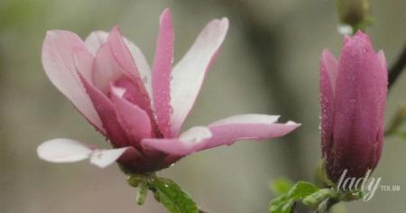 6a427051456e7bf3cb96cab6352c239d_30.03.26_1