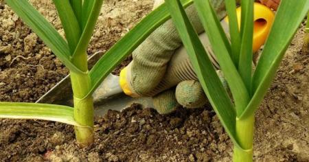 6c964a3b1057a35ce185b49a9084f17a_20.04.26_1