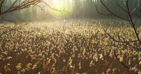 6e8419edec3471dc38682c66c1c30300_10.03.26