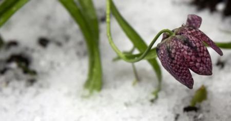 6e9061c7be59c1a4d3433734a1d8c871_05.04.26_1