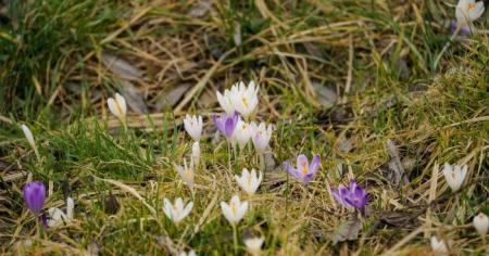 6efea28802fe10ec31de49da7f0f6c04_20.03.26_1