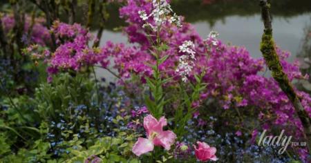 72071d6ccc629f15f13df2d812a082a3_30.04.26_1