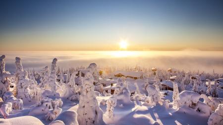 В Лапландии зафиксировали самую высокую температуру за более чем сто лет