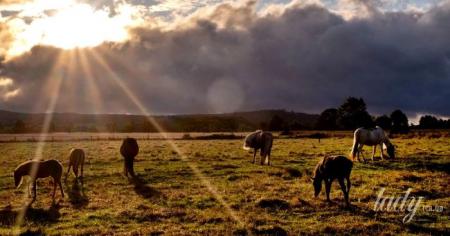 73025c77e1a34178b1b468bd578913c2_06.03.26_1