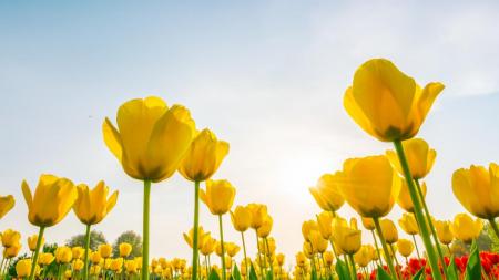 744ae015611d31ac5c926076a23a24e9_1200x675_30.04.26