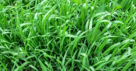 7467895bd62f1f75b289f9f860aa59e4_09.04.26_1