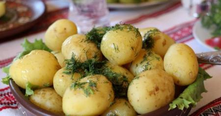 748452c945e6a9f1063528f4df229bfe_05.94.26_1