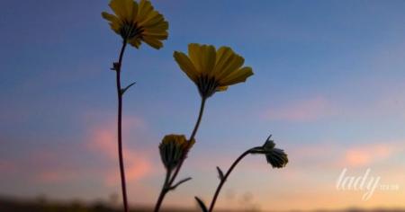 749b95cb6156a52822bcbff271a387f7_23.03.26_1