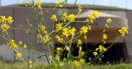 76abf1051e2056a63b2de4dfdedd65ae_26.03.26_1