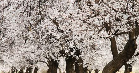 77ea7bd147d7783c89c9d931e6adcd8d_28.04.26