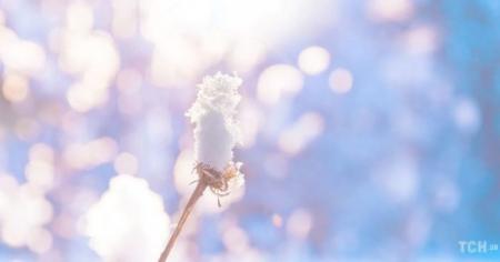 78afde7ecf9530db90a2ad92e4511fd2_18.02.26_1