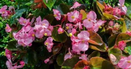 796b5da380d189400a4dc5d1f1fb8380_24.04.26_1