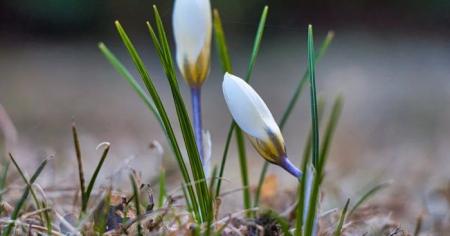 7ae937063d2d229afa4a78e3ae5c8f6b_10.03.26_1