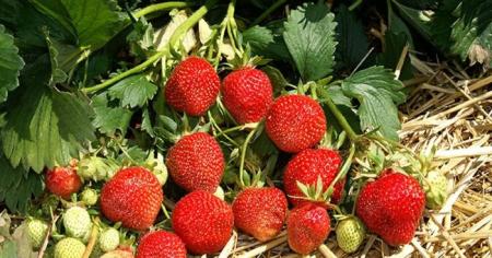 7b51ebd22097687b04cba9c123a85c0b_19.04.26_1