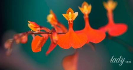 7bbf25bca7a6cdd14f63f812e4945c91_21.02.26_1