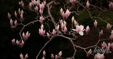 7bc3ded48d4ee90b7a9769eb629b447e_29.03.26_1