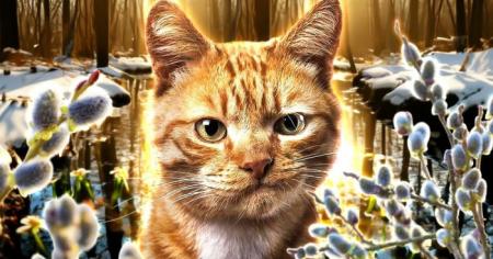 7c2ac2c517e6322b3fed3752052bffdf_15.03.26_1