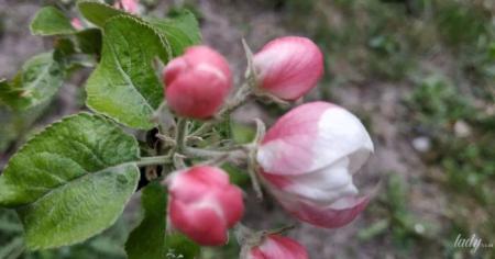 7c5e30f979980da3a1412ffbb4106375_30.04.26_1