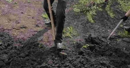 7d8803e6156818dddb2371601d60d9e2_10.03.26_1