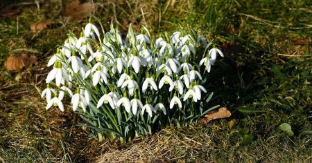 7e6de9fb594b6f8559fb0345d38f2ece_27.03.26