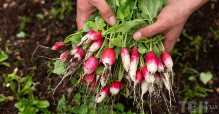 801ee32925be79694dfdcab05c1b872a_08.04.26