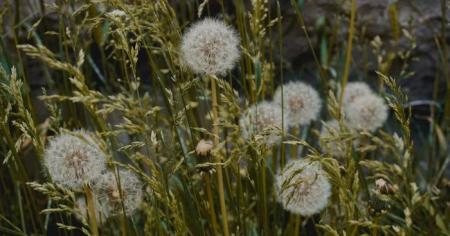 80a1a0709c241b75139598ca8851fcb2_11.04.26_1